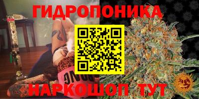 ГАЛЛЮЦИНОГЕННЫЕ ГРИБЫ Малоярославец