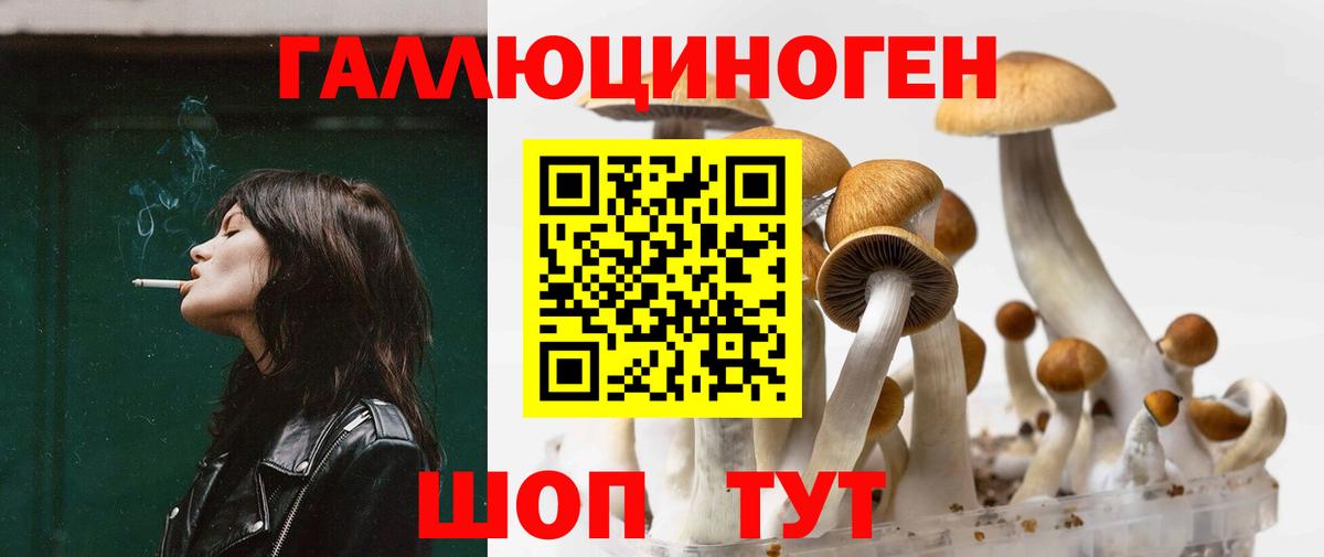 Псилоцибиновые грибы Psilocybe  Галлюциногенные грибы Psilocybe  Вход с VPN  Горно-Алтайск 