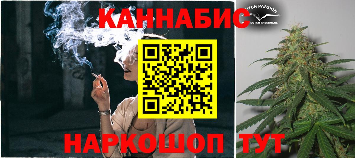 Шишки марихуана сатива Горно-Алтайск